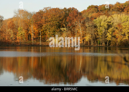 Radnor Lago in autunno Foto Stock