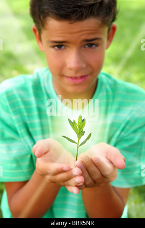 Germoglio di impianto crescente luce incandescenza sul ragazzo adolescente mani all'aperto Foto Stock