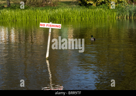 Nessun segno di pesca sulle rive di un fiume Foto Stock