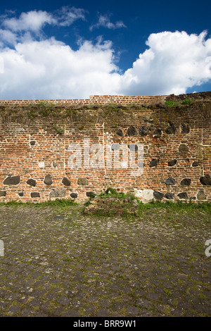 Muraglia difensiva, centro medievale, Zons sul Reno, Germania, filtro polarizzante applicato Foto Stock