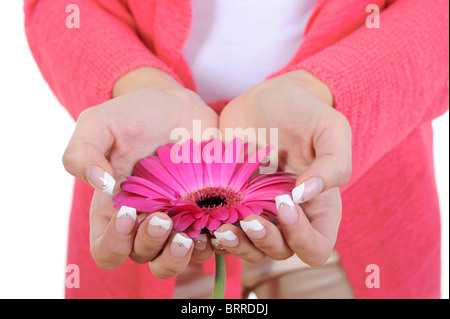 Fiore in mani femminili. Foto Stock