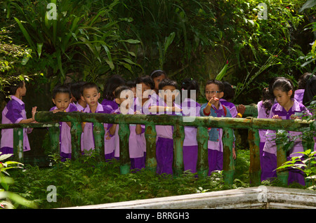 Malaysian scolari in uniforme su di una gita al Parco delle Farfalle di Kuala Lumpur. I bambini mostrano una gamma di tipi etnici Foto Stock