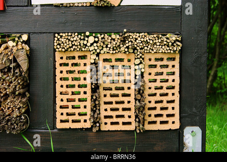 Insektenhotel - hotel per insetti 06 Foto Stock