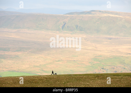 Walker e cane su scale cadde con Threlkeld comune in background nel Lake District inglese Foto Stock