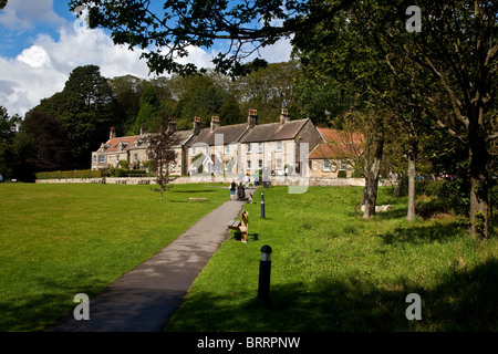 Il North York Moors National Park Danby Mori Center Foto Stock