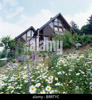 Bianche margherite crescente su una collina di fronte a casa moderna con ripidamente tetto spiovente in Germania Foto Stock