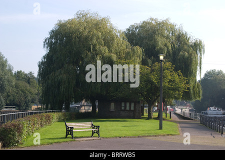 Percorso di erba di prato panca in legno sedi giornata soleggiata alberi Foto Stock