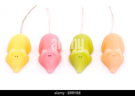 Quattro zucchero colorato topi su uno sfondo bianco bianco Foto Stock
