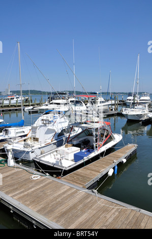 New Haven Marina, Connecticut, Stati Uniti d'America Foto Stock