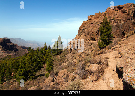 Roque Nublo è uno dei più famosi punti di riferimento nell'isola di Gran Canaria. Foto Stock