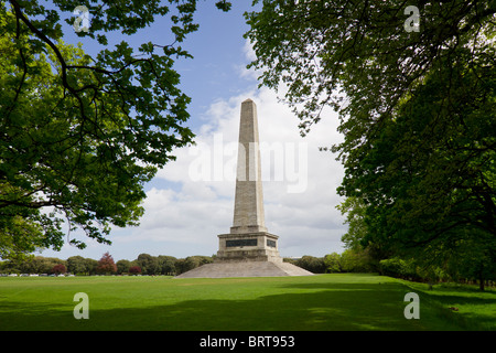 Wellington Testimonial è 62 metri alto obelisco situato nel Phoenix Park di Dublino, Irlanda. Foto Stock