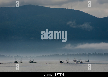 Commerciale di salmone Reefnet barche da pesca off Lummi Island, Washington, nel nord-ovest del Pacifico. Foto Stock