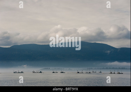 Commerciale di salmone Reefnet barche da pesca off Lummi Island, Washington, nel nord-ovest del Pacifico. Foto Stock