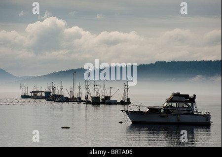 Commerciale di salmone Reefnet barche da pesca off Lummi Island, Washington, nel nord-ovest del Pacifico. Foto Stock