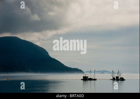 Commerciale di salmone Reefnet barche da pesca off Lummi Island, Washington, nel nord-ovest del Pacifico. Foto Stock