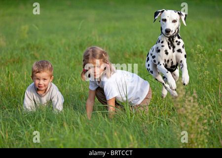 Ritratto di due giovani bambini seduti in un prato giocare con loro Dalmazia Foto Stock