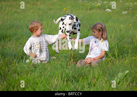 Ritratto di due giovani bambini seduti in un prato giocare con loro Dalmazia Foto Stock