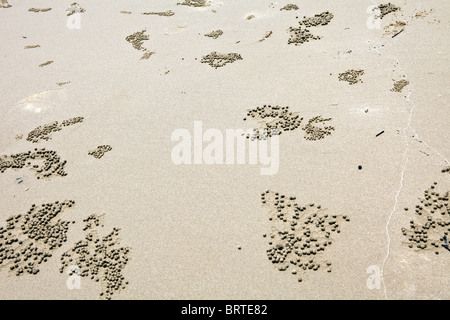 Fori di granchio sono visti di sabbia su una spiaggia in Borneo, Malaysia Foto Stock