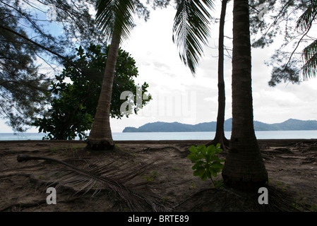 Una vista di Manukan isola vicino a Kota Kinabalu nel Sabah, malese a carico Foto Stock