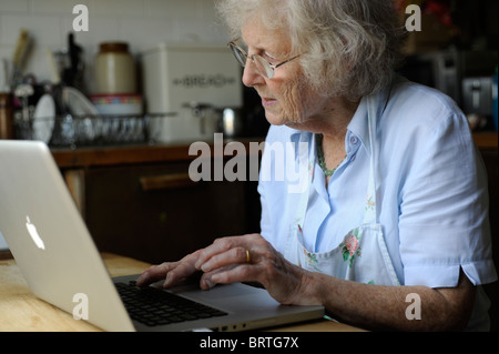 Silver Surfer oap computer internet lady titolare di pensione o di rendita Foto Stock