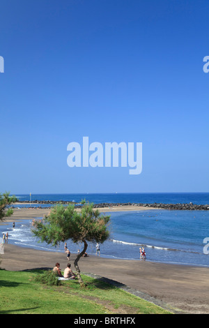 Isole Canarie, Tenerife Playa de las Americas Foto Stock