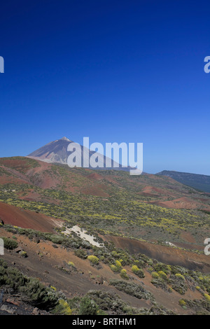 Isole Canarie, Tenerife, Parque Nacional del Teide (Parco Nazionale del Teide), sito UNESCO, Mt. Il Teide Foto Stock