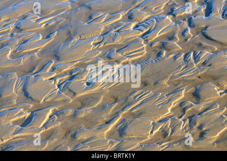 Modelli per la sabbia della spiaggia in Crescent City California Foto Stock