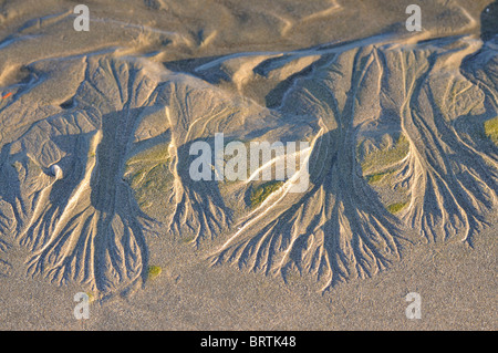 Modelli per la sabbia della spiaggia in Crescent City California Foto Stock