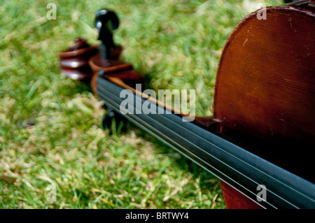 Violino sull'erba Foto Stock