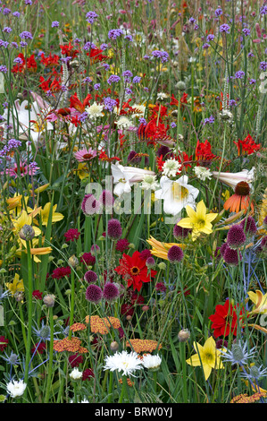 Un colorato prato di animali selvatici e fiori coltivati Foto Stock