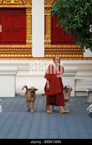 Monaco a piedi con due cani Foto Stock