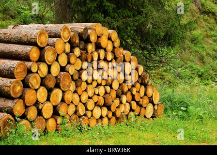 Holzstapel - pila di legno 25 Foto Stock