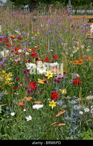 Un colorato prato di animali selvatici e fiori coltivati Foto Stock