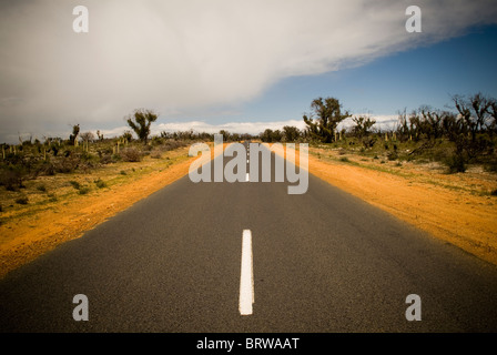 Strada sigillata nel deserto Foto Stock