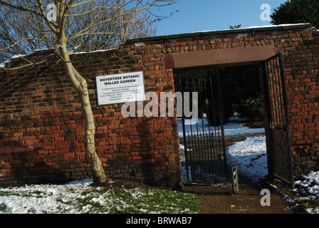 Wavertree parco botanico e giardino, Liverpool, Regno Unito Foto Stock