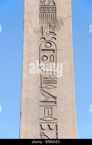 Il granito obelisco di Teodosio sta in piedi in The Hippodrome a Meydanı o Meydanı Sultanahmet Istanbul Turchia Foto Stock