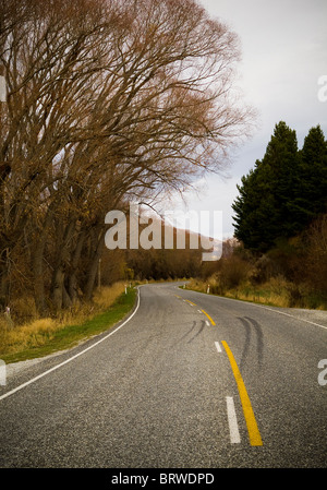 Sigillato torsione su strada attraverso gli alberi con tracce di pneumatici sul bitume Foto Stock