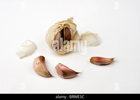 Aglio bulbo.chiodo di garofano Foto Stock