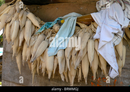 BOLIVIA ECOTOPS Progetti in Alto di Beni. Dettagli di un casale in Remolinos. fotografia di Sean Sprague Foto Stock