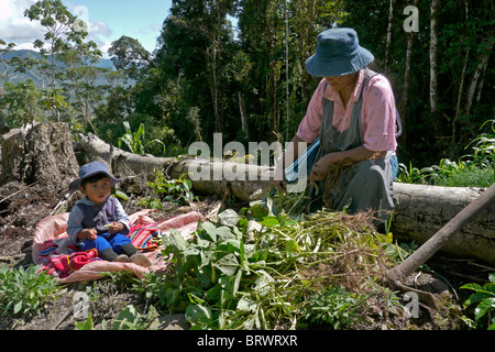 BOLIVIA gli agricoltori di Caranavi Foto Stock