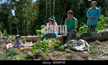 BOLIVIA gli agricoltori di Caranavi Foto Stock