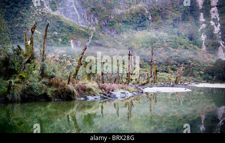 Antico fiume scorre attraverso la foresta Foto Stock