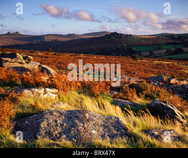 Hayne giù guardando verso Haytor Tor e Hound Tor nel Dartmoor National Park all'inizio dell'autunno. Manaton, Devon, Inghilterra. Foto Stock
