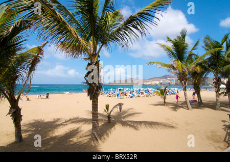 Spiaggia di Las Canteras a Las Palmas di Gran Canaria Isole Canarie Spagna Foto Stock