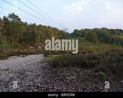 Pianura brughiera habitat in comune Snelsmore paese parco vicino a Newbury Berkshire Foto Stock