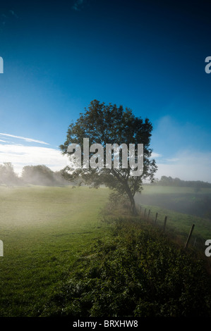 Vista nebbiosa dal Cotswold Way al picco Coaley, England, Regno Unito Foto Stock