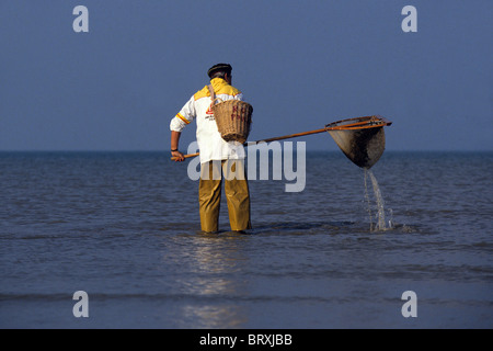 Gamberetti Fisherman Port-en-Bessin, Calvados (14), in Normandia, Francia Foto Stock
