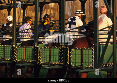 Fantini al gate di partenza, corse di cavalli a Deauville Race Track, Calvados (14), in Normandia, Francia Foto Stock