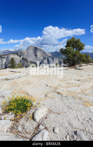 Vista di mezza cupola dal bordo settentrionale della valle di Yosemite in California Foto Stock