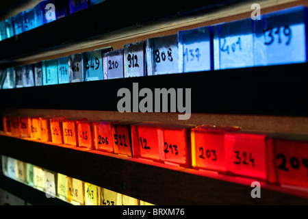 Grafico a colori per il vetro macchiato dall'ATELIERS LOIRE, livelli, EURE-ET-LOIR (28), Francia Foto Stock